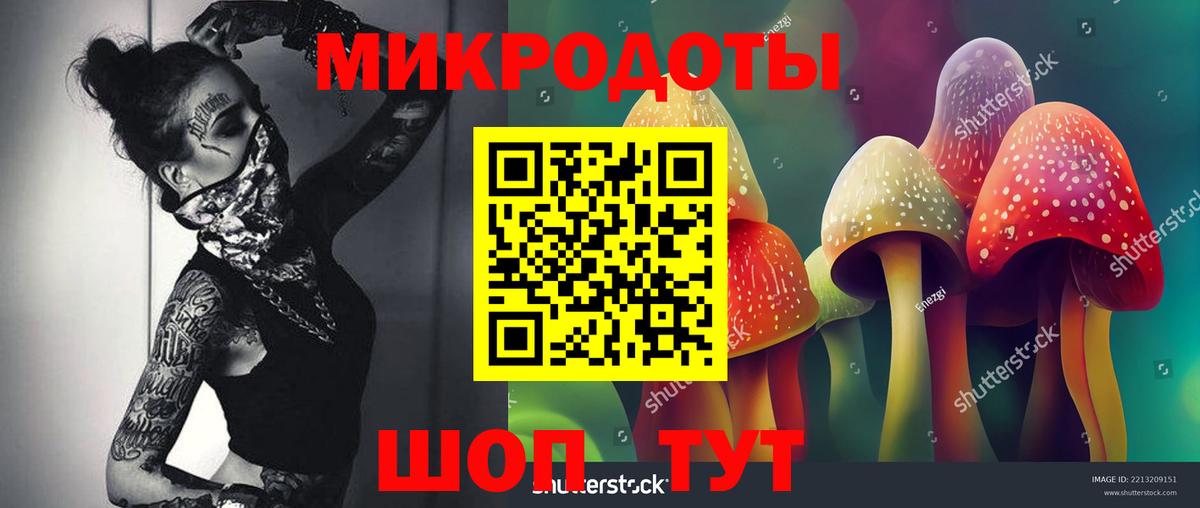 Псилоцибиновые грибы Magic Shrooms Новороссийск
