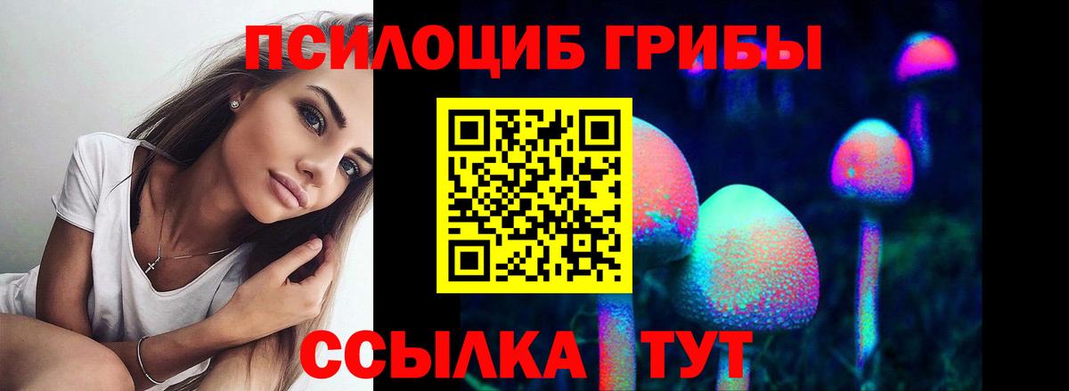 Галлюциногенные грибы Magic Shrooms  Вход с VPN  где купить наркотик  Новороссийск 